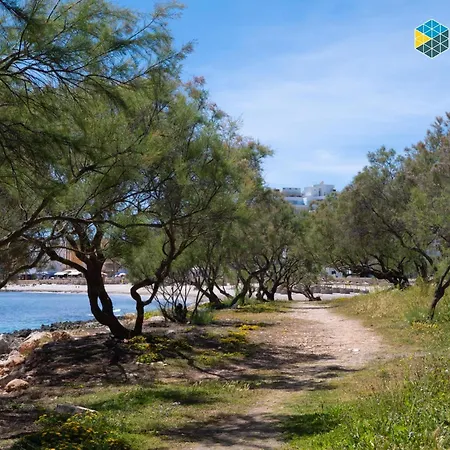 Apto Antic 302 Pax 4 S'Illot (Mallorca)